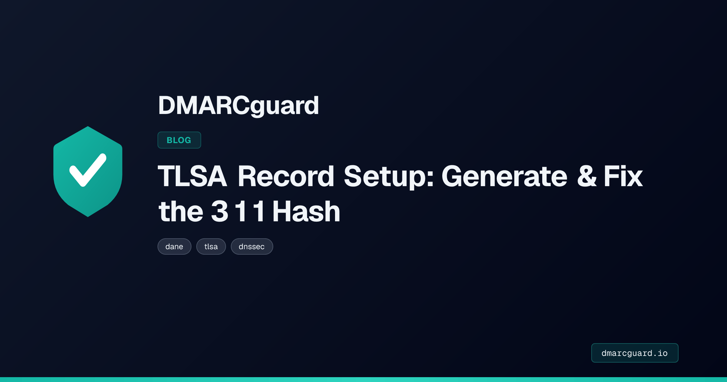 dmarcguard.io image